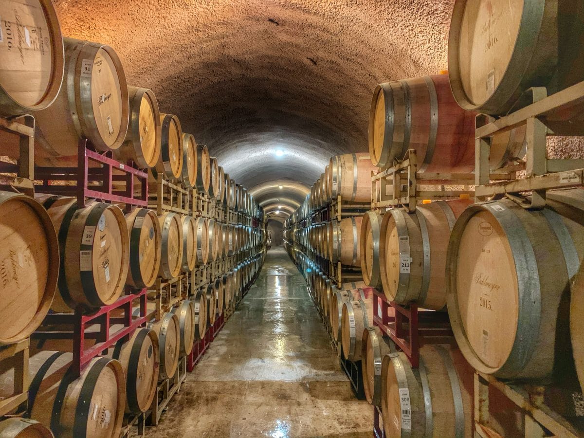 Best time to visit napa valley, wine barrels in a cellar