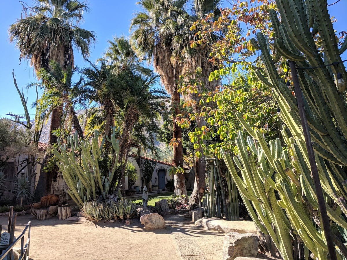 Moorten botanical garden palm springs entrance