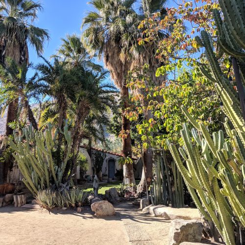 Moorten botanical garden palm springs