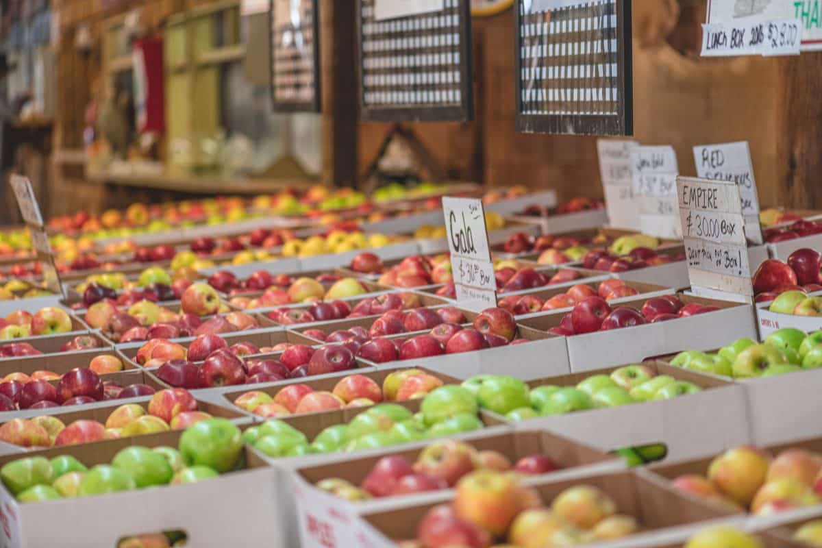 Apples for sale apple hill california