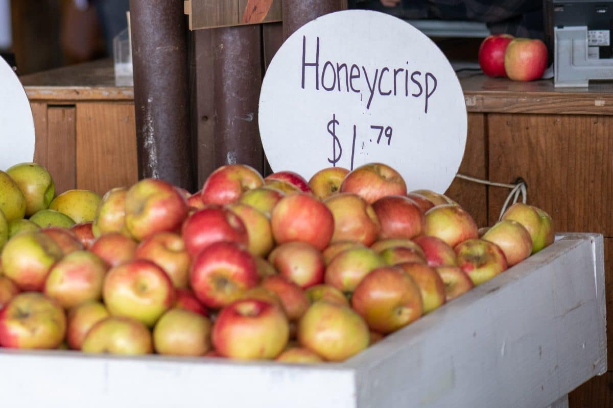 Apples of apple hill honeycrisp