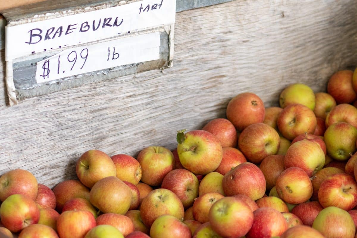 Apples of apple hill braeburn