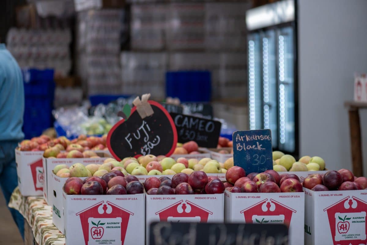 Apples of apple hill california