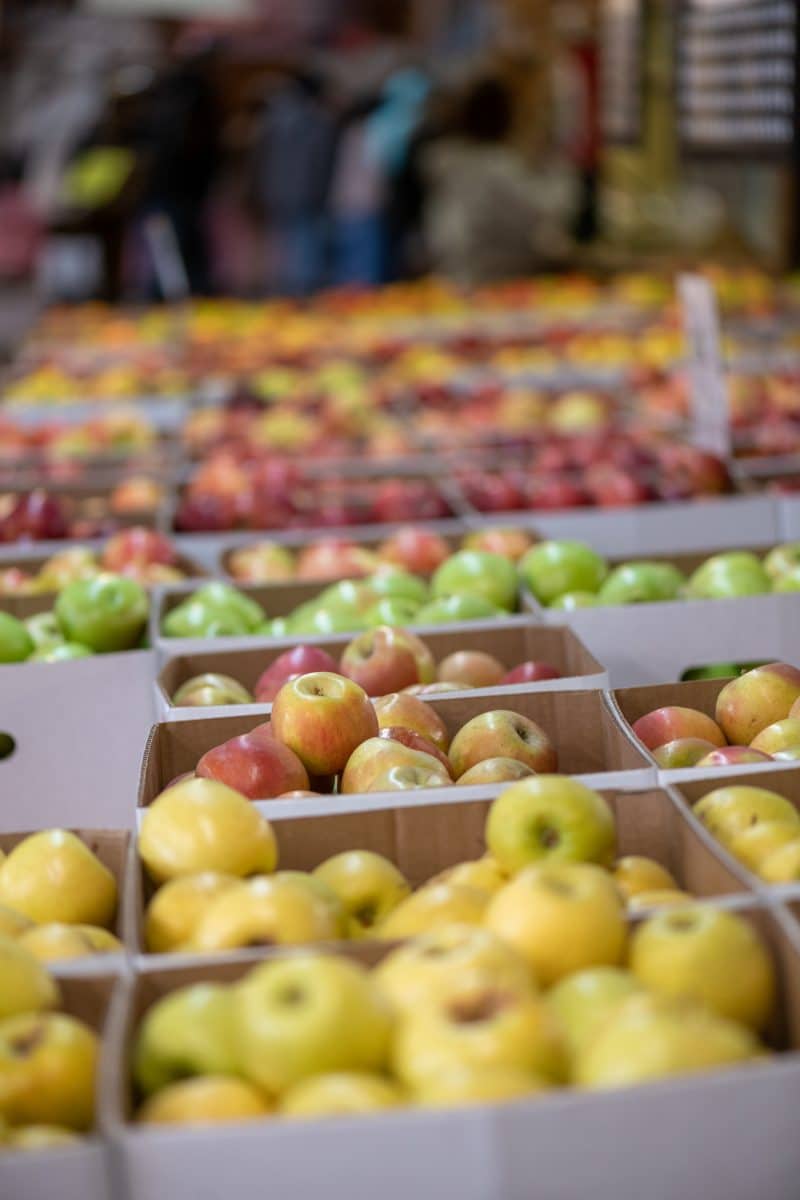 Apples of apple hill california by the box