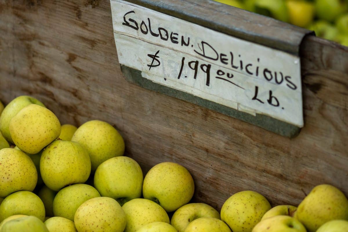 Apples of apple hill golden delicious