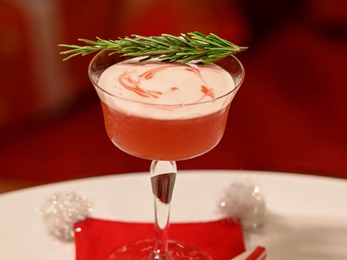 Christmas campari sour cocktail recipe