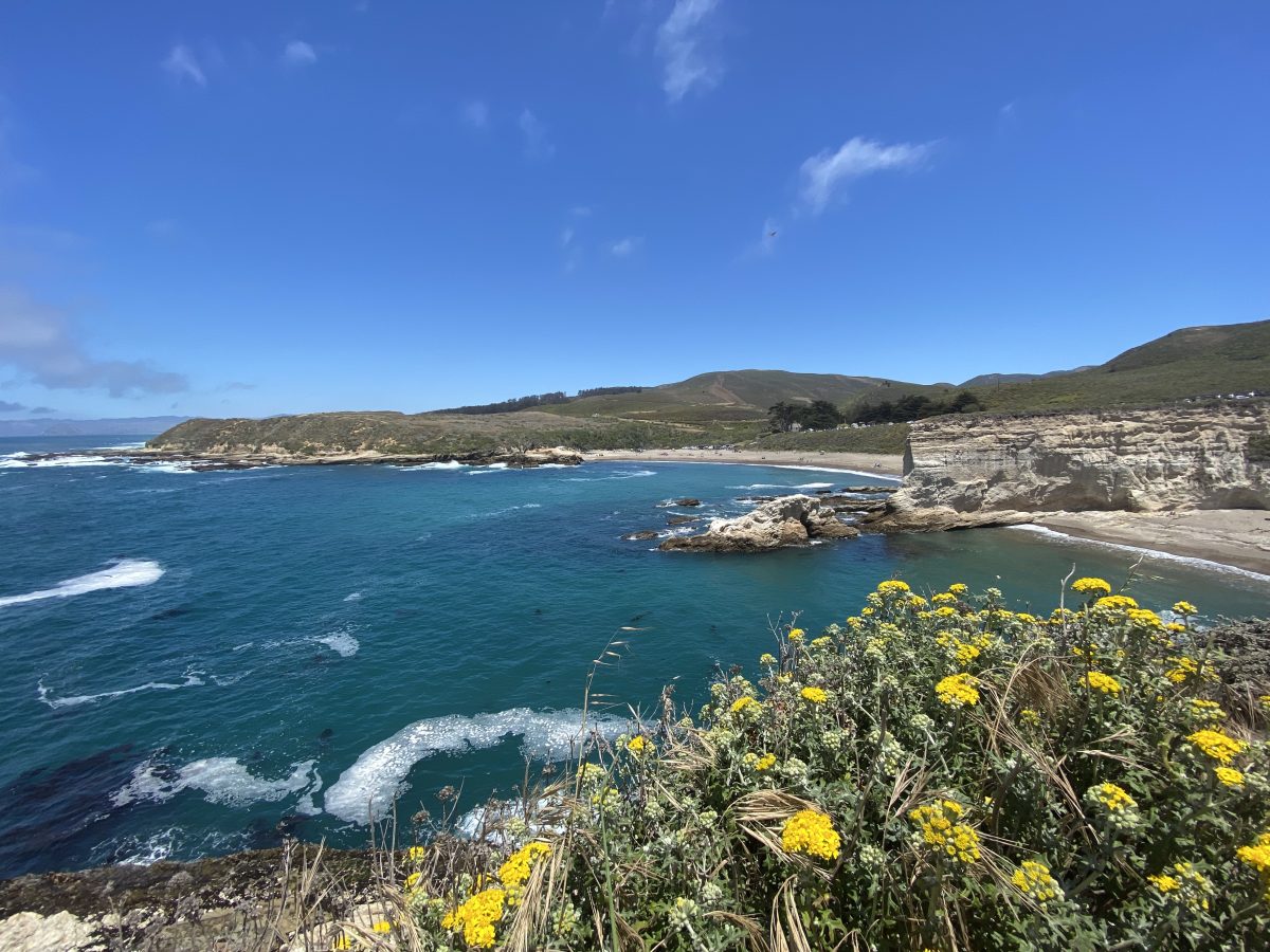 Montaña de oro, spooner's cove