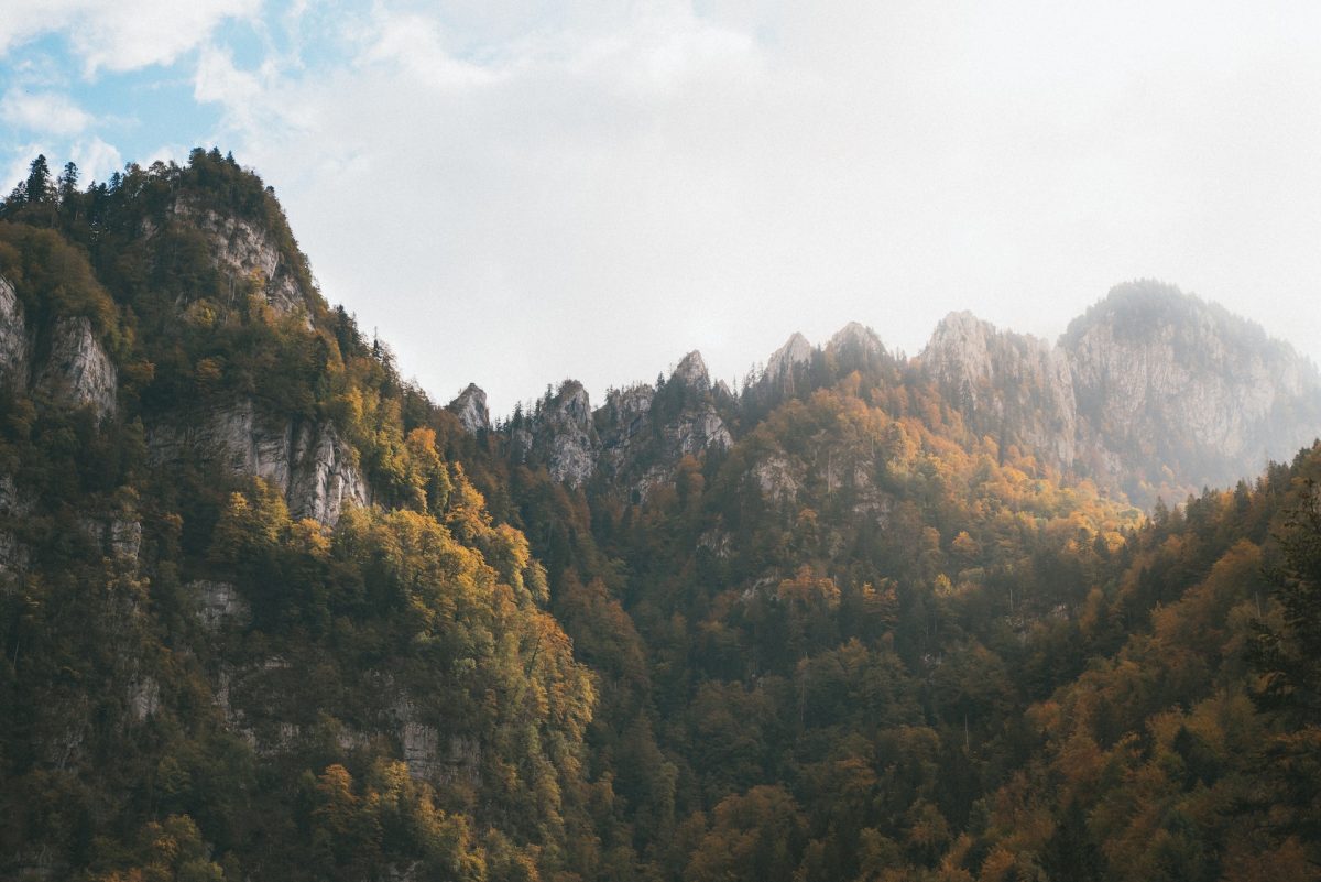 Massif de la chartreuse, saint-pierre-d'entremont, france