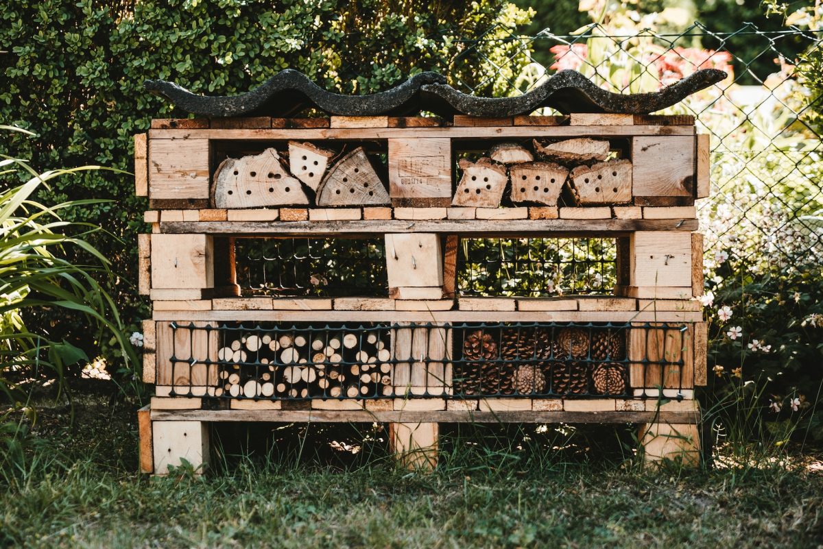 How to keep carpenter bees away