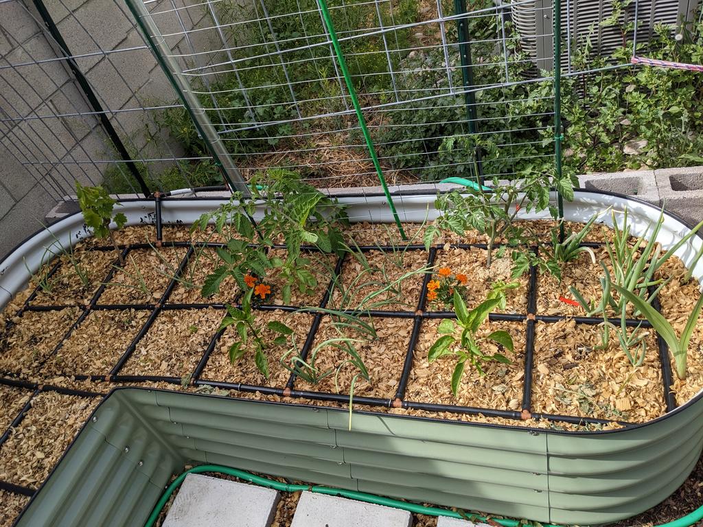 Creating a herbal garden with metal raised garden beds