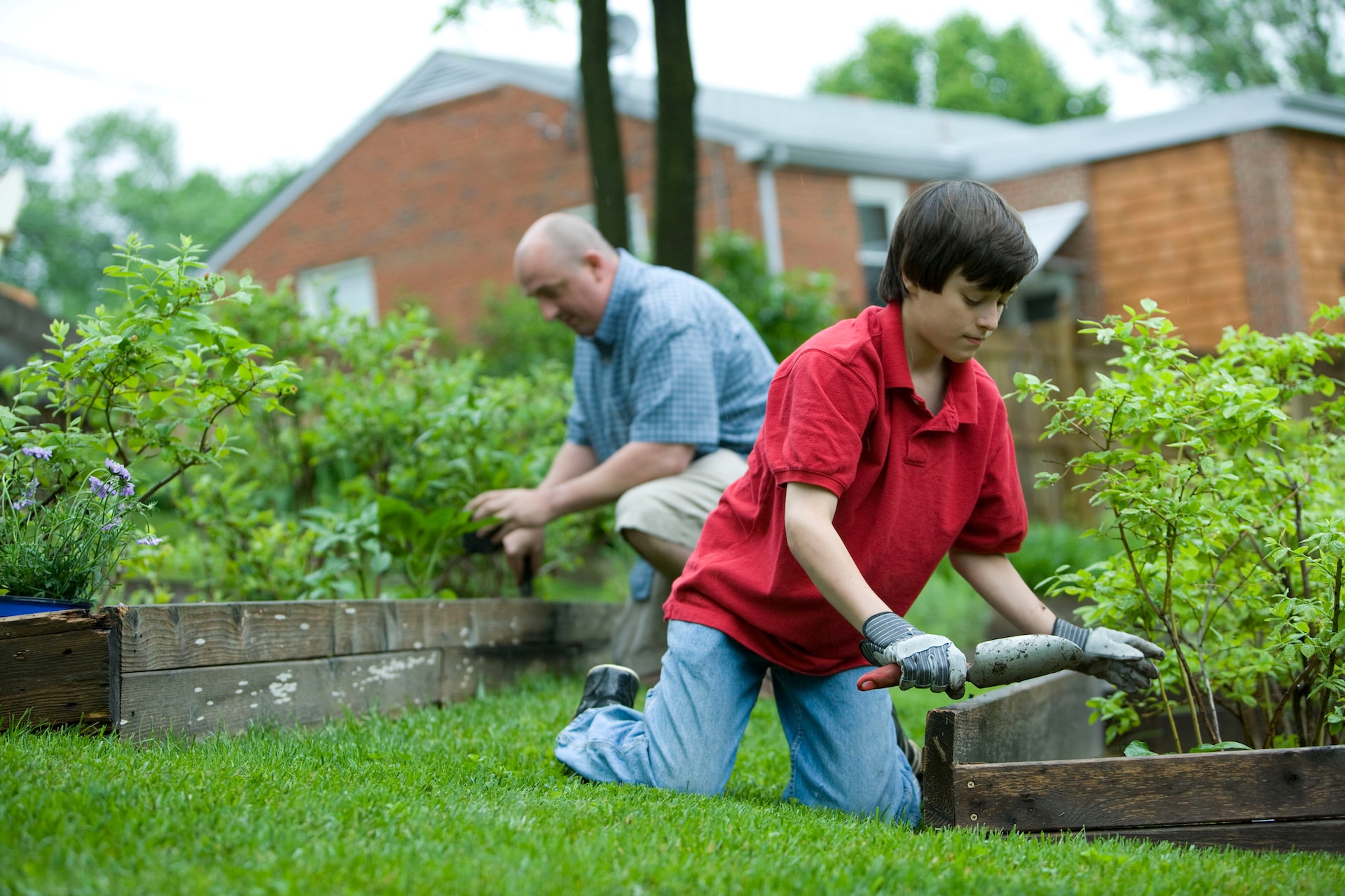 Follow these smart guidelines for proper garden maintenance