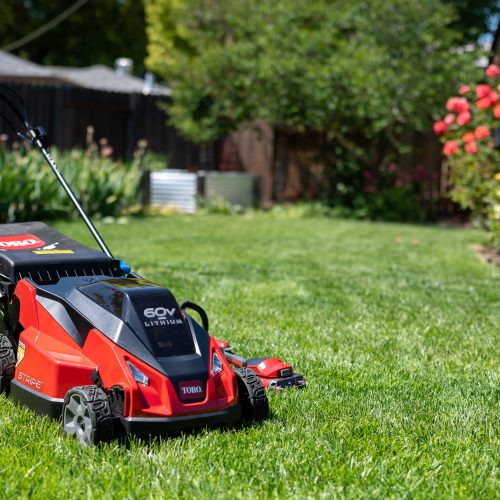 Toro summer of stripes 60 v lawn mower