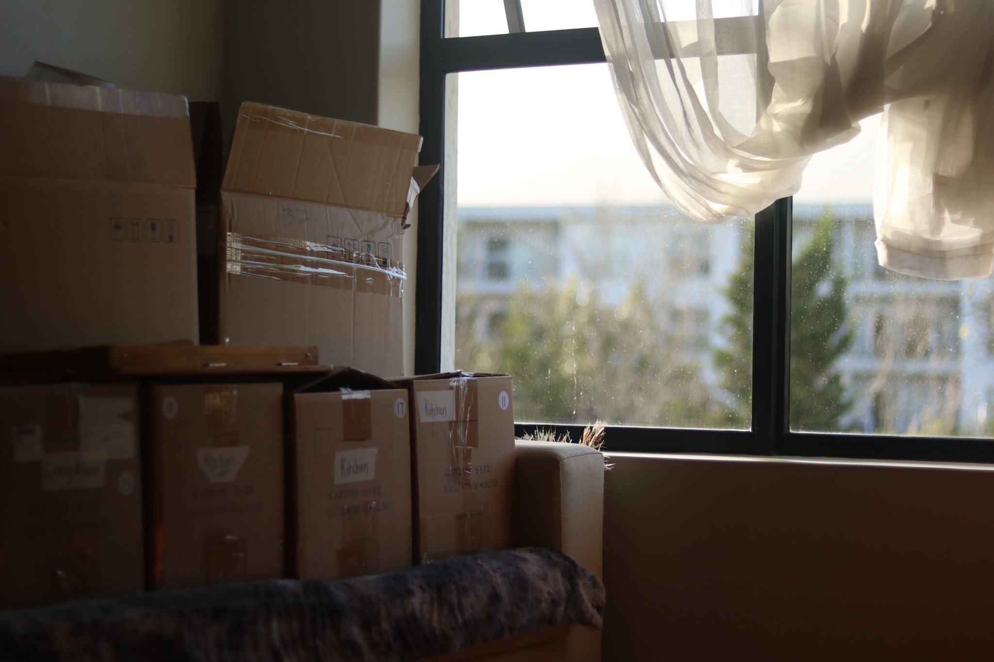 How to properly organise your move: a simple guide