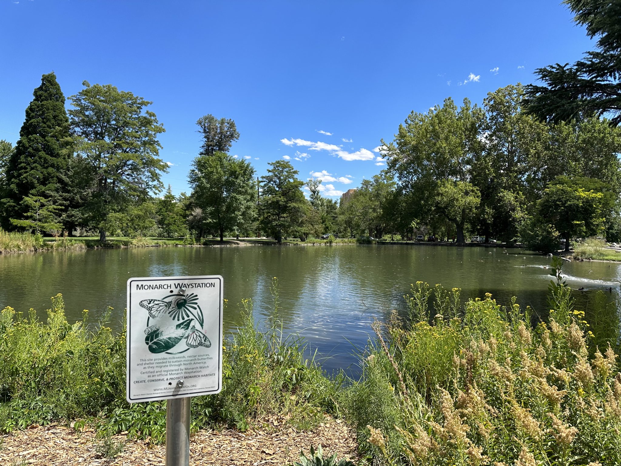 Best restaurants in reno sensory garden