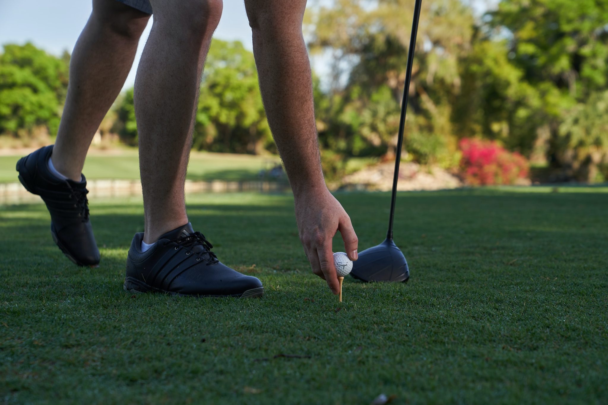 Golf equipment 101: your ultimate guide to elevating your game