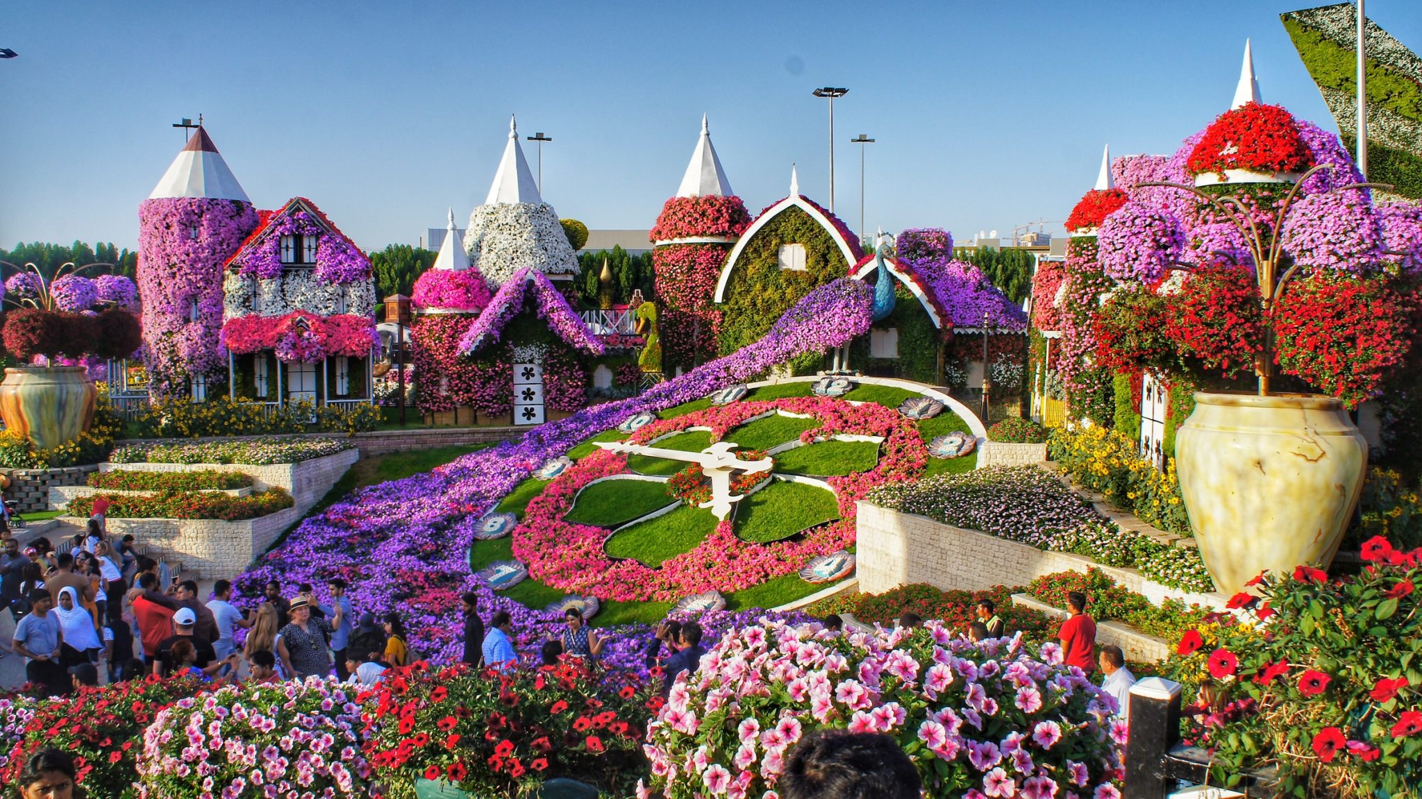 Not only skyscrapers the most unusual places in the uae dubai miracle garden