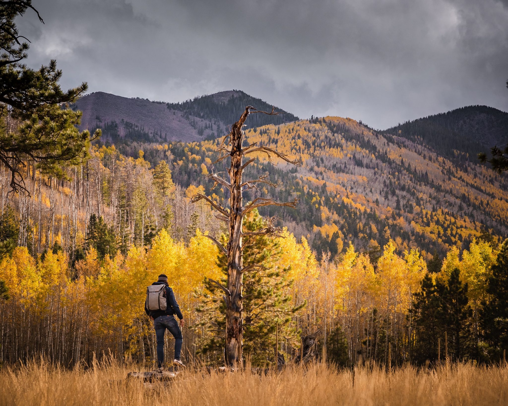 How to enhance your hiking experience this autumn