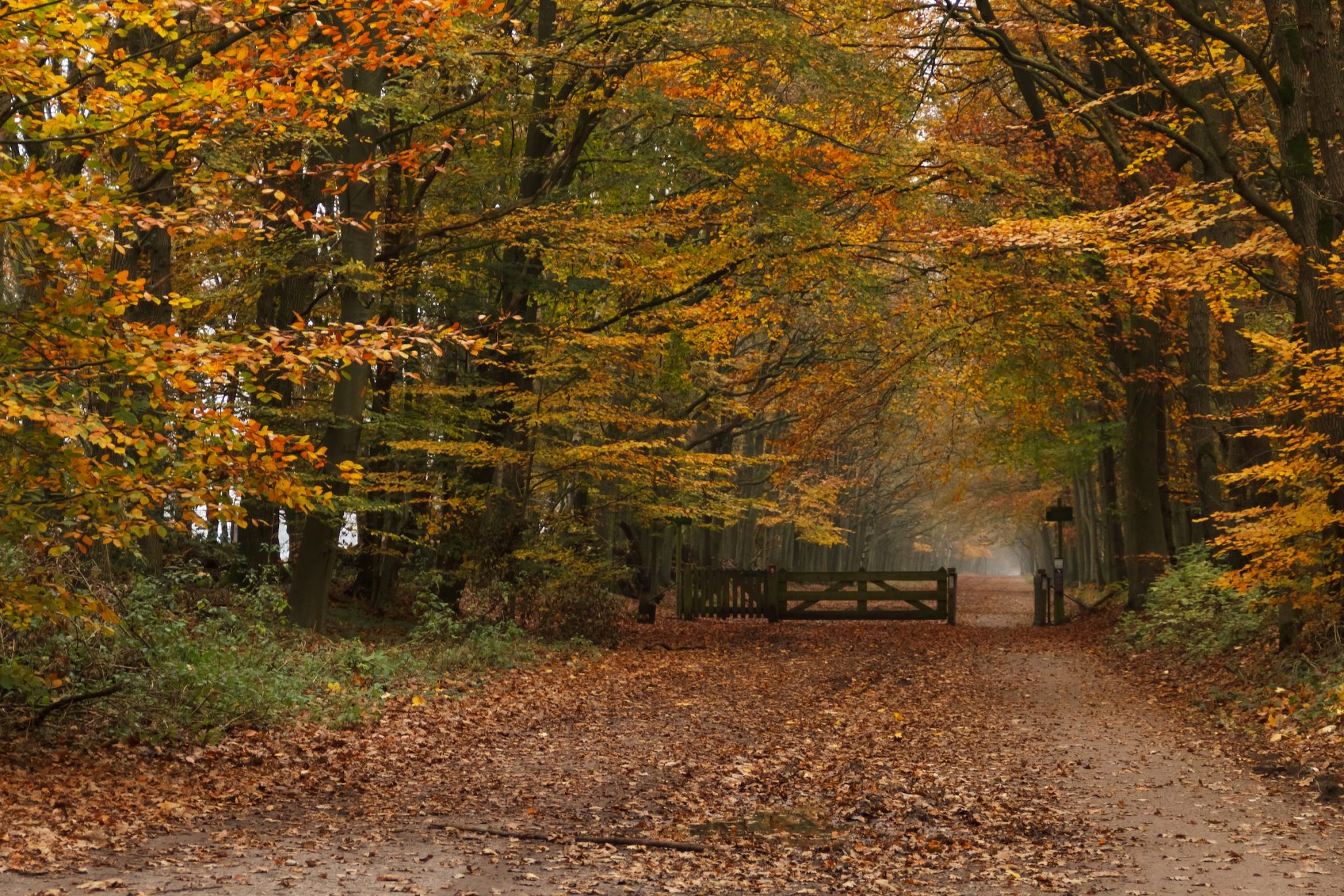 How to enhance your hiking experience this autumn