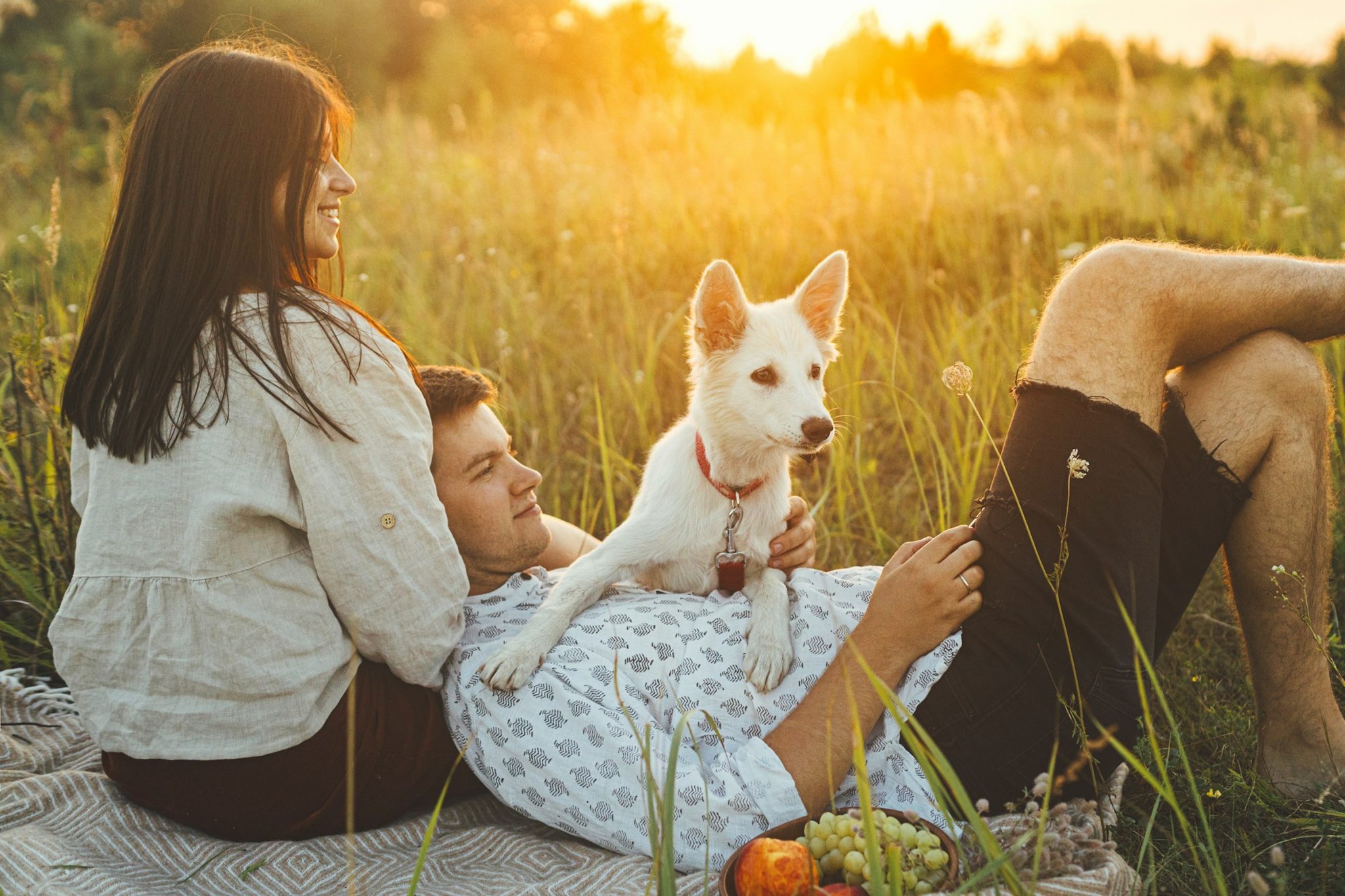 Choose the right dog for your family: top tips