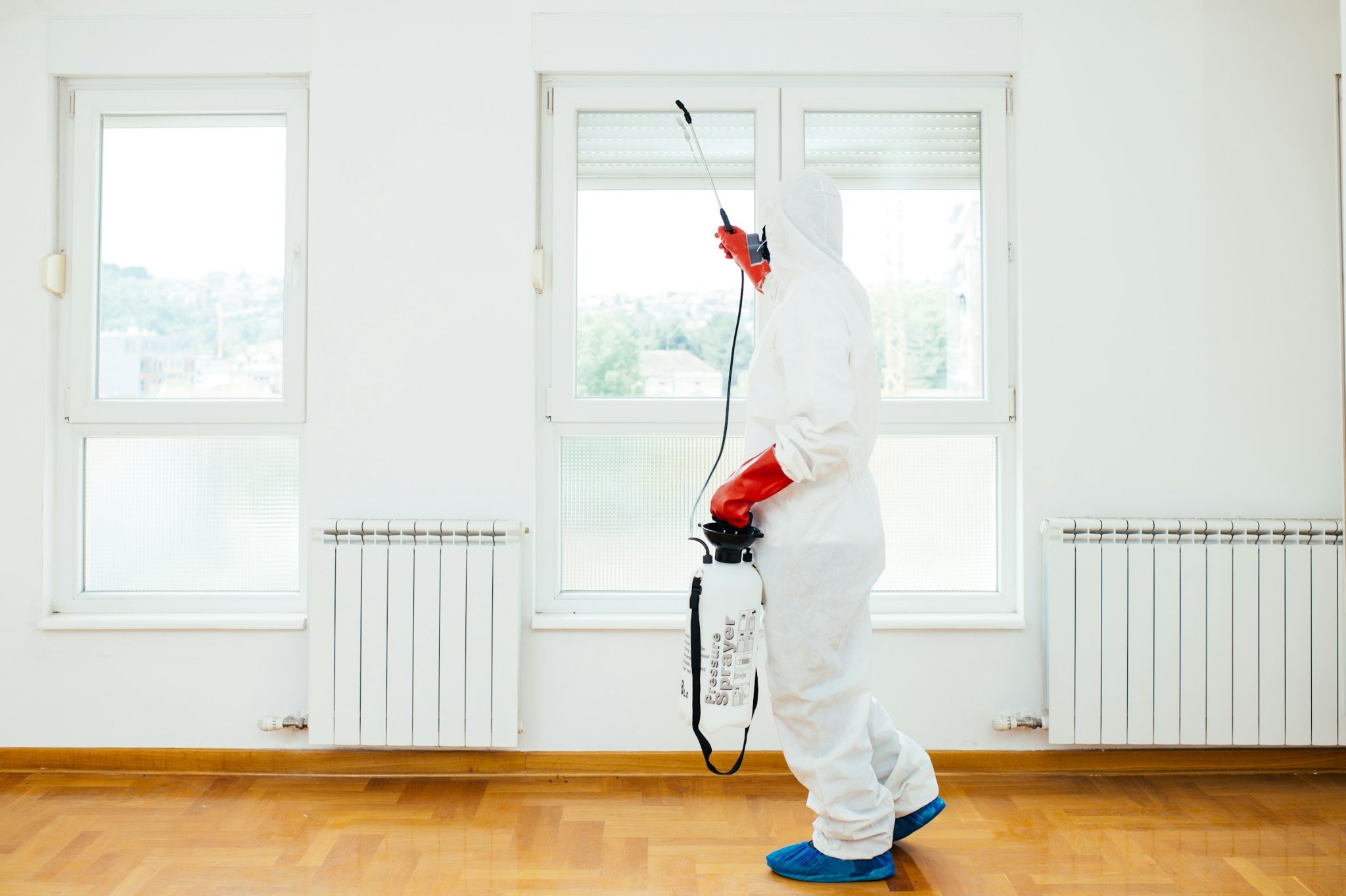 Defend your home: proven pest prevention techniques