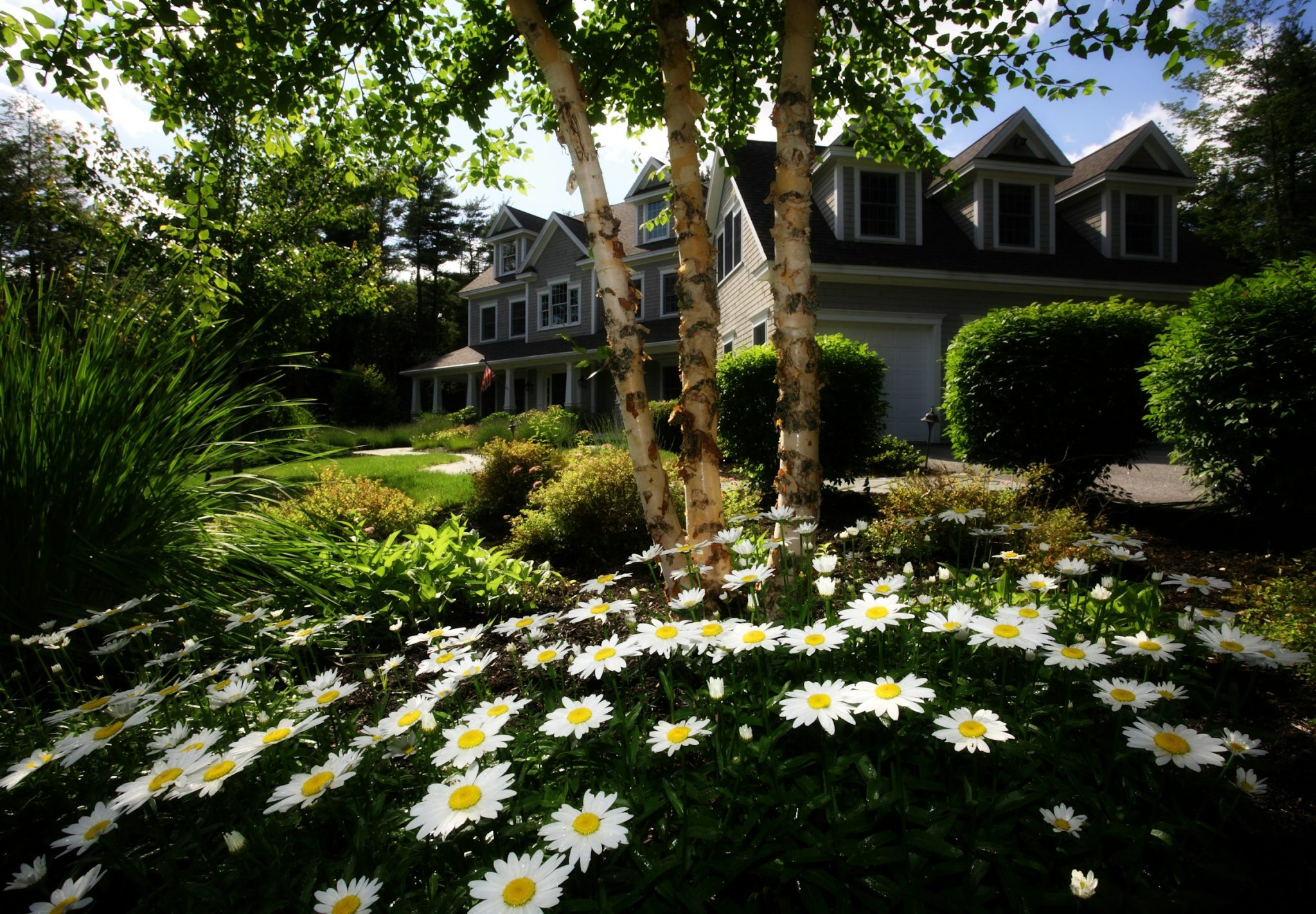 Elevate your outdoor experience: top landscaping services to try