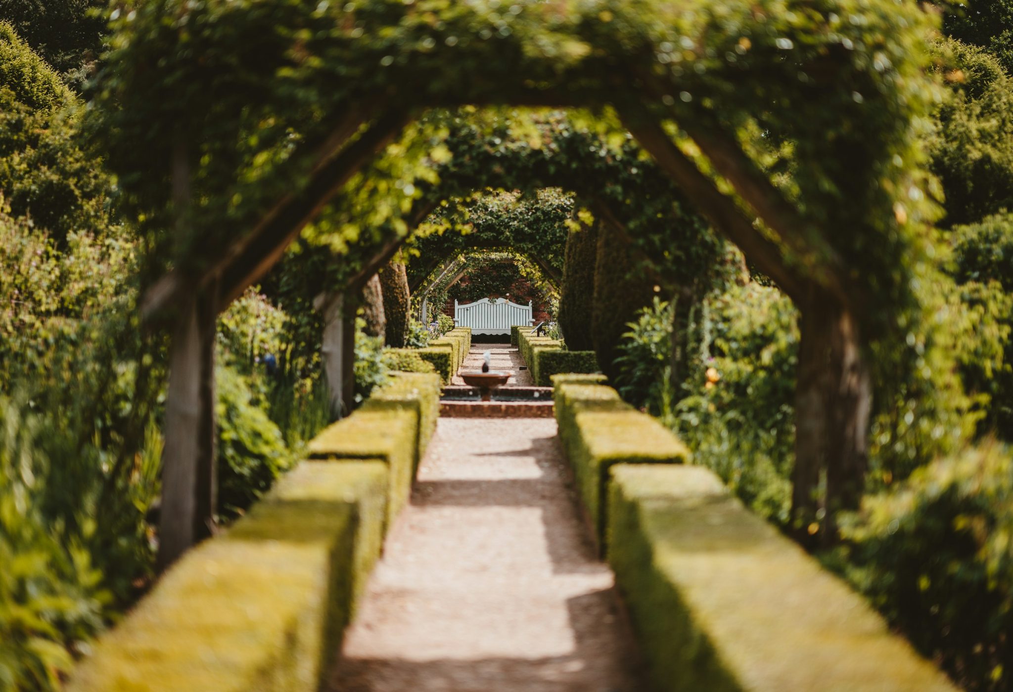 Garden arch trellis