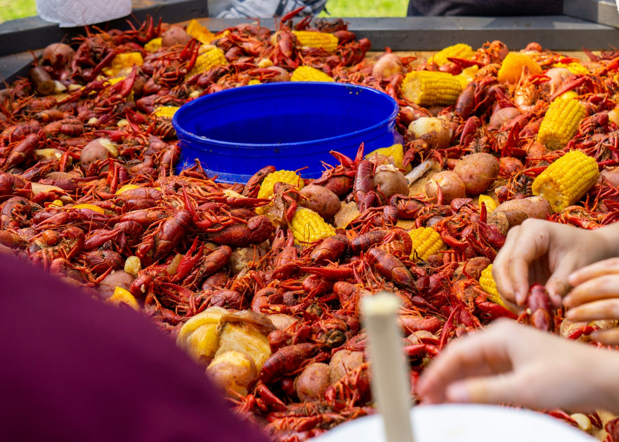 Freshly caught delights: live crawfish delivered to you