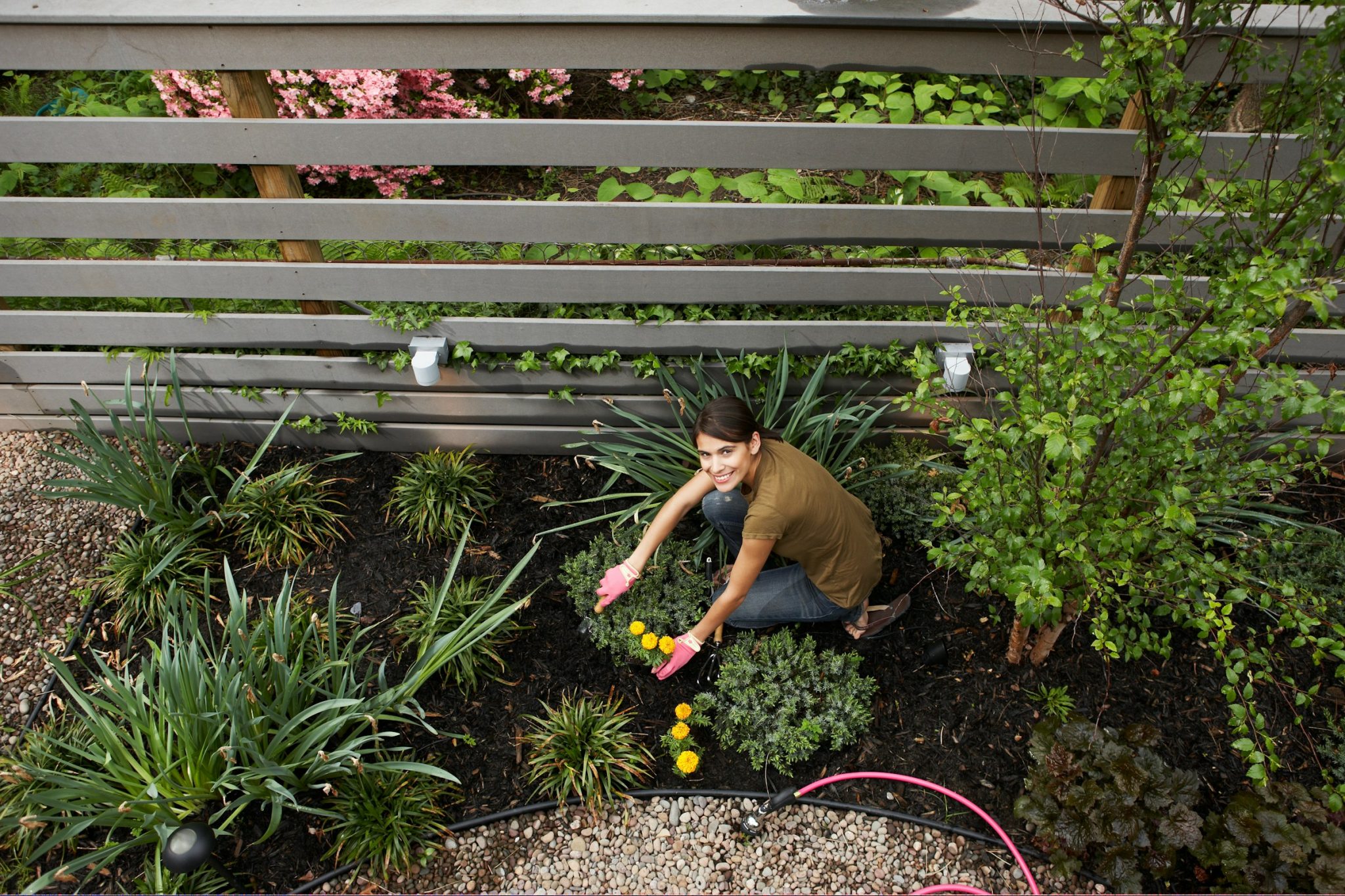 From neglect to nirvana: transform your garden with these tips