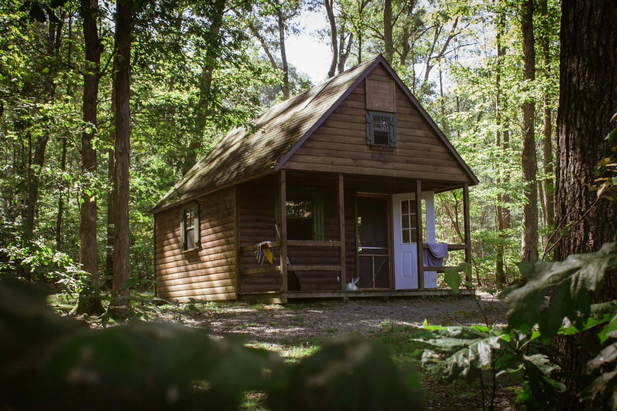 Roof rescue: 6 practical tips to keep your home safe and sound