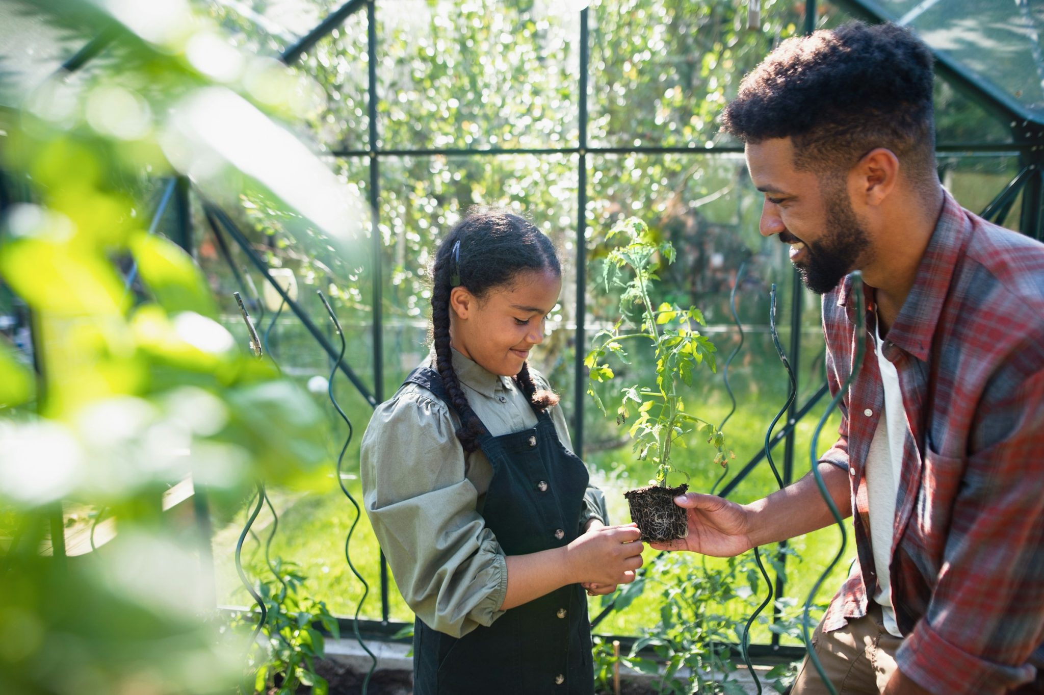 7 tips for designing and operating energy-efficient greenhouses