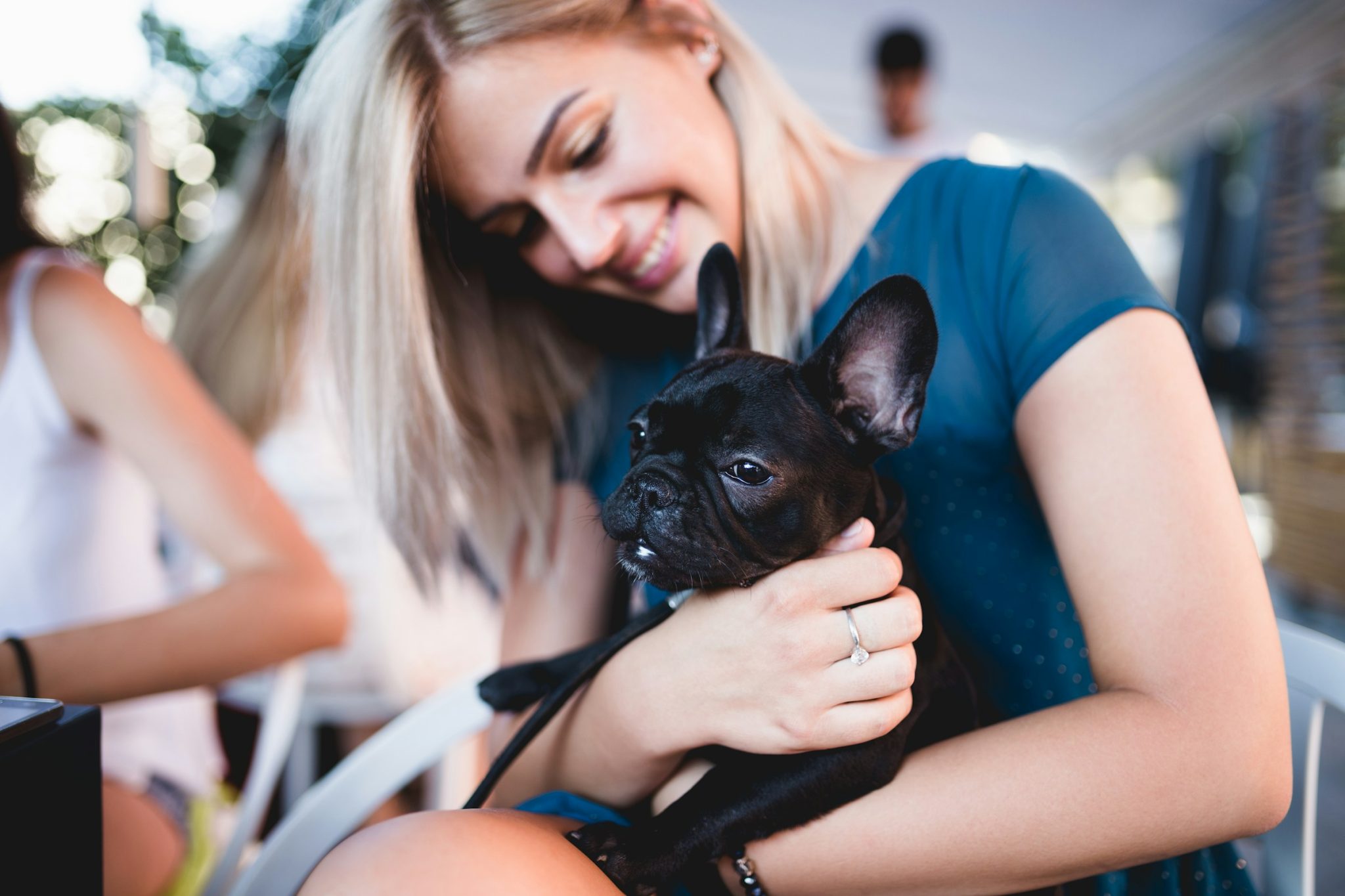 French bulldogs: the perfect blend of affection and quirkiness