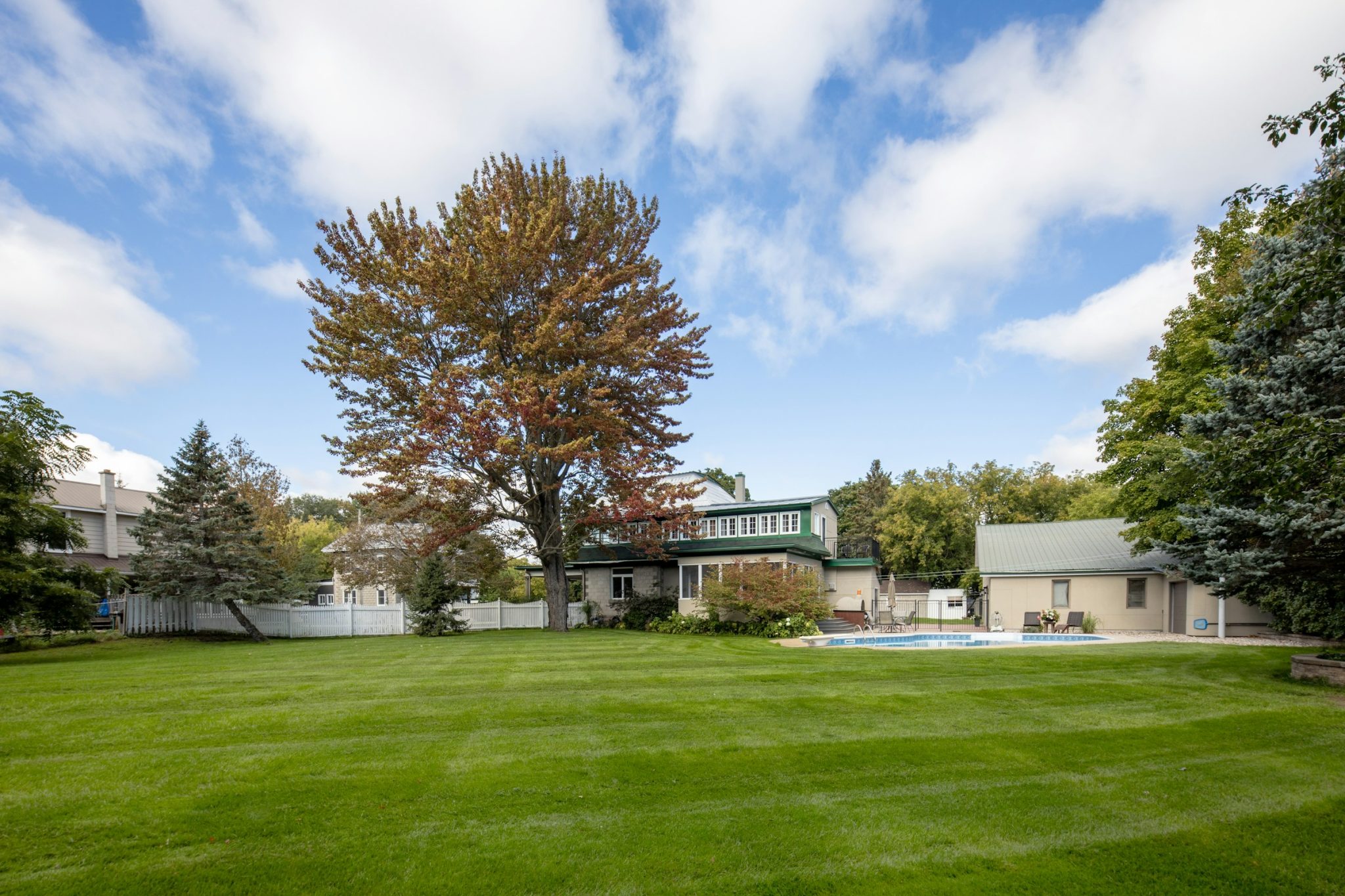 The ultimate lawn makeover guide
