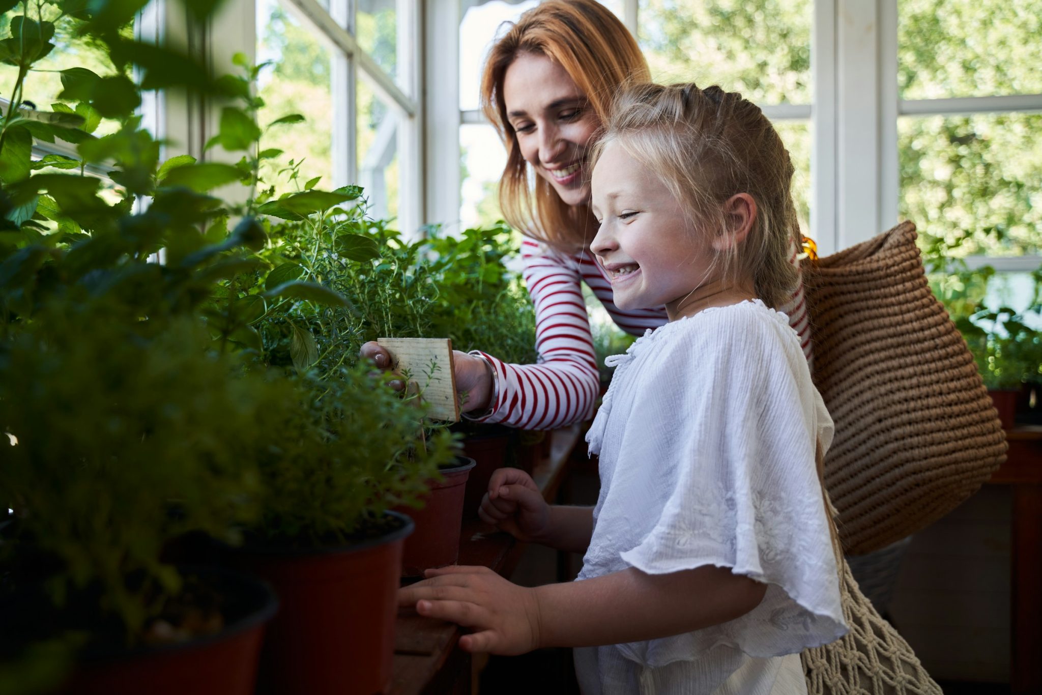 7 tips for designing and operating energy-efficient greenhouses