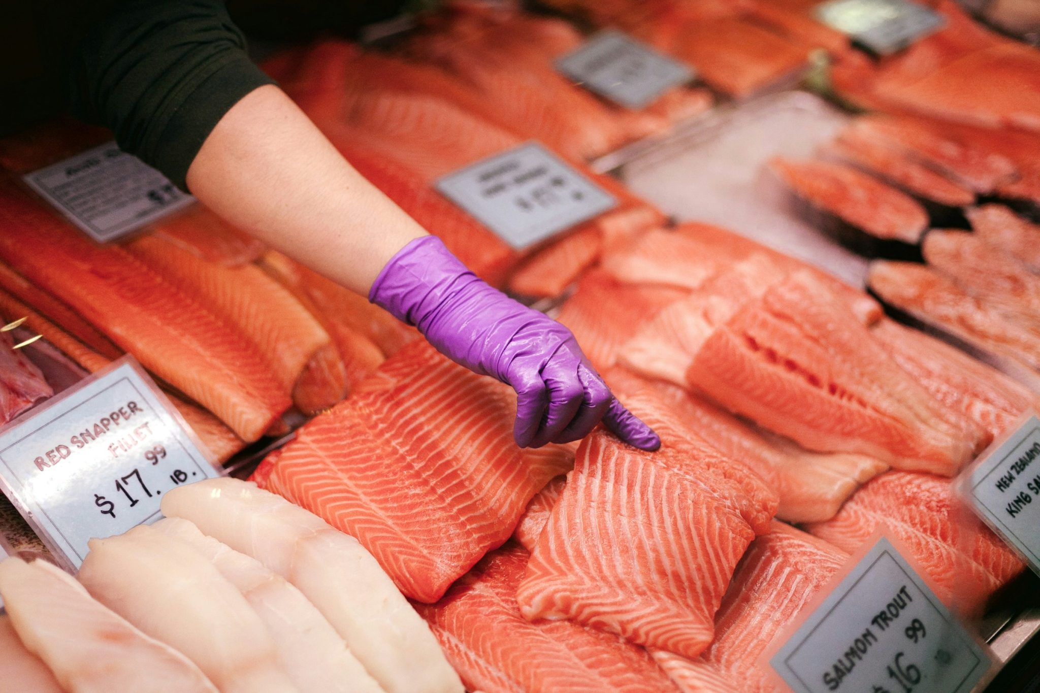 How long does king salmon last in the freezer?