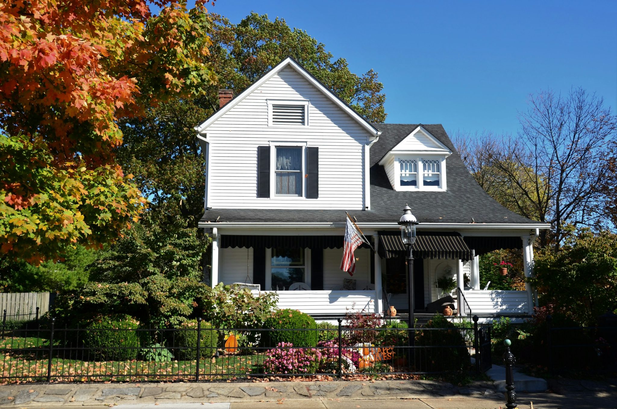 How to choose the right arborist for your tree care needs