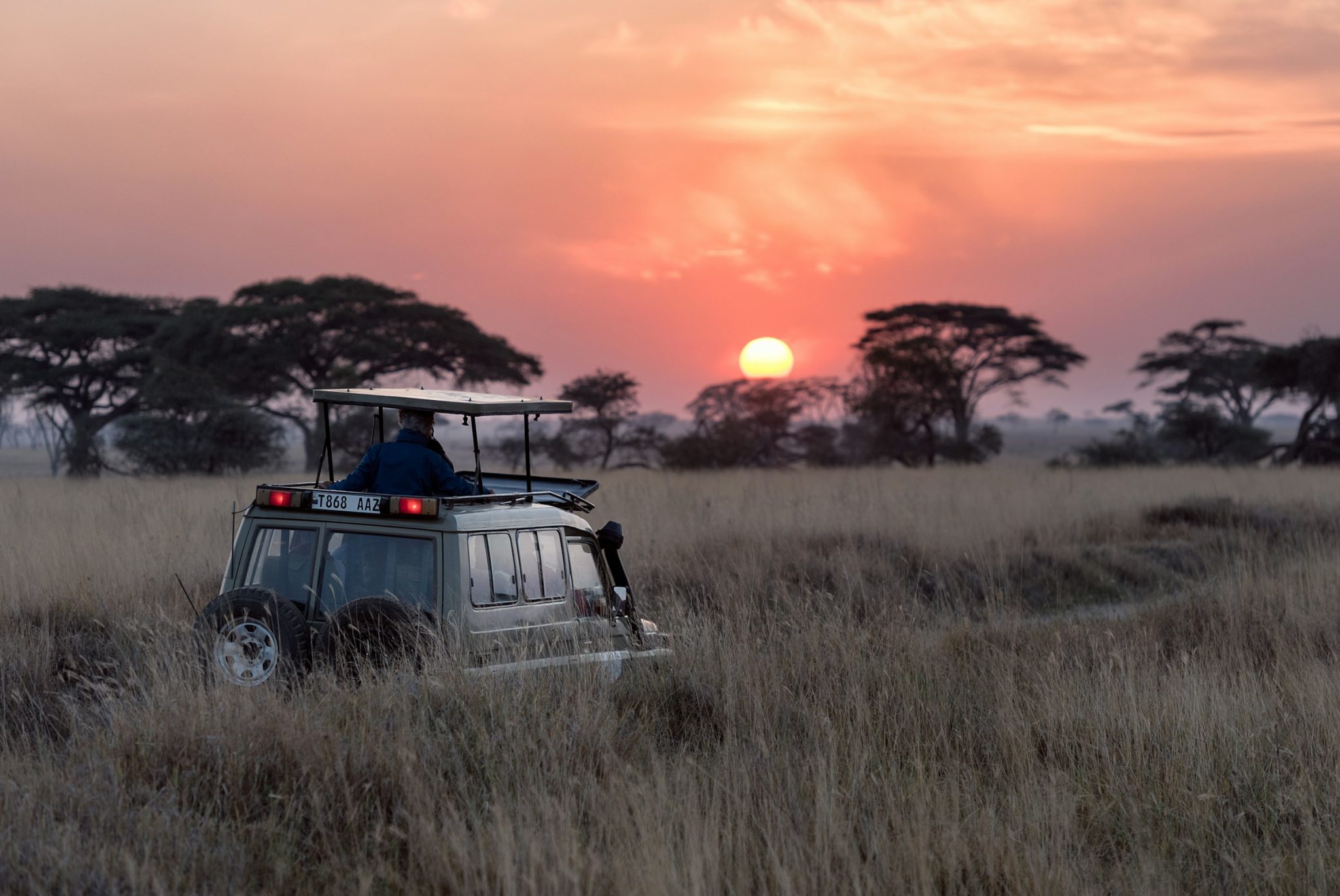 Stay connected on safari: essential tech for your trip
