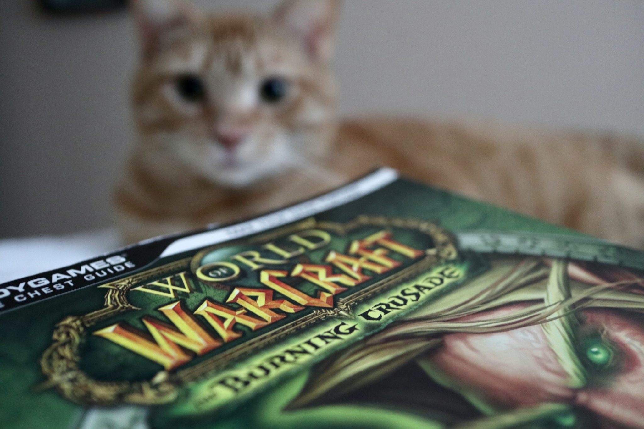 Overviewing news of world of warcraft carries