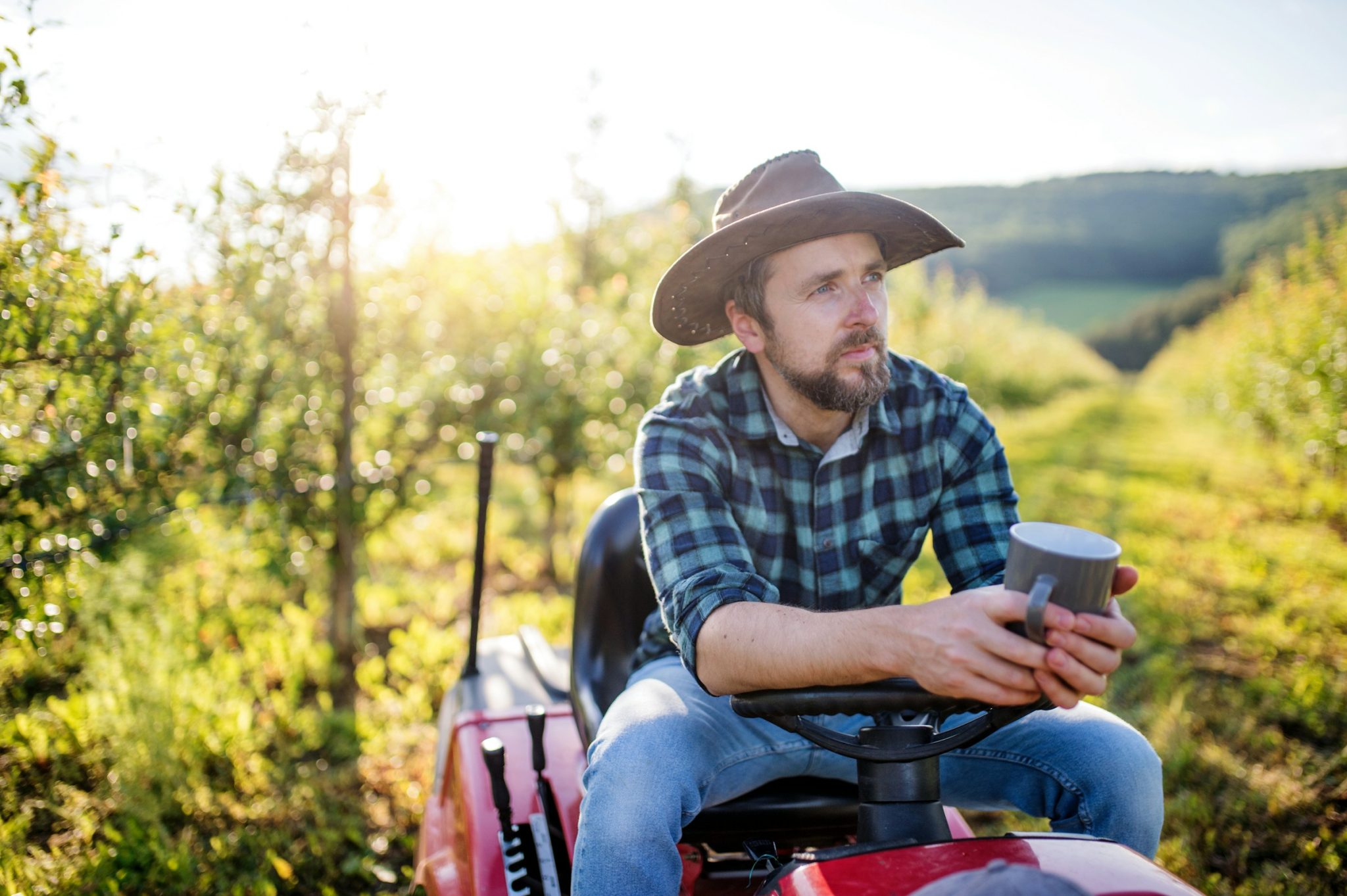 Farm management software: the essential tool for large-scale agricultural operations