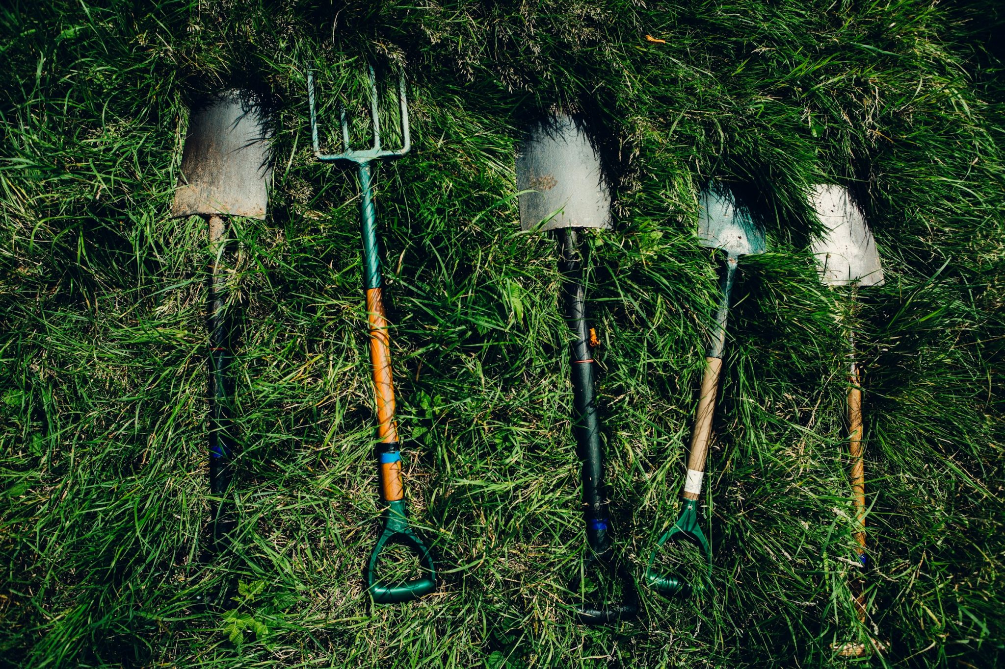 What you can do to extend the life of your garden tools