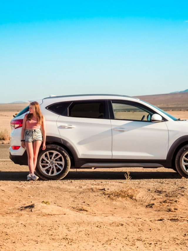 Safe Driving and Legal Responsibilities: A Traveler’s Guide Story