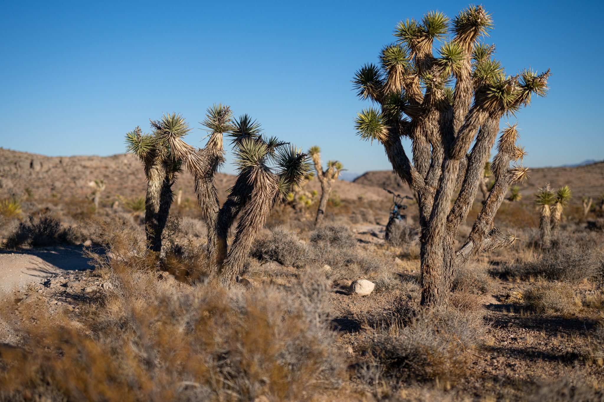 Riding the aima 2025 big sur ebike through red rock and blue diamond joshua tree