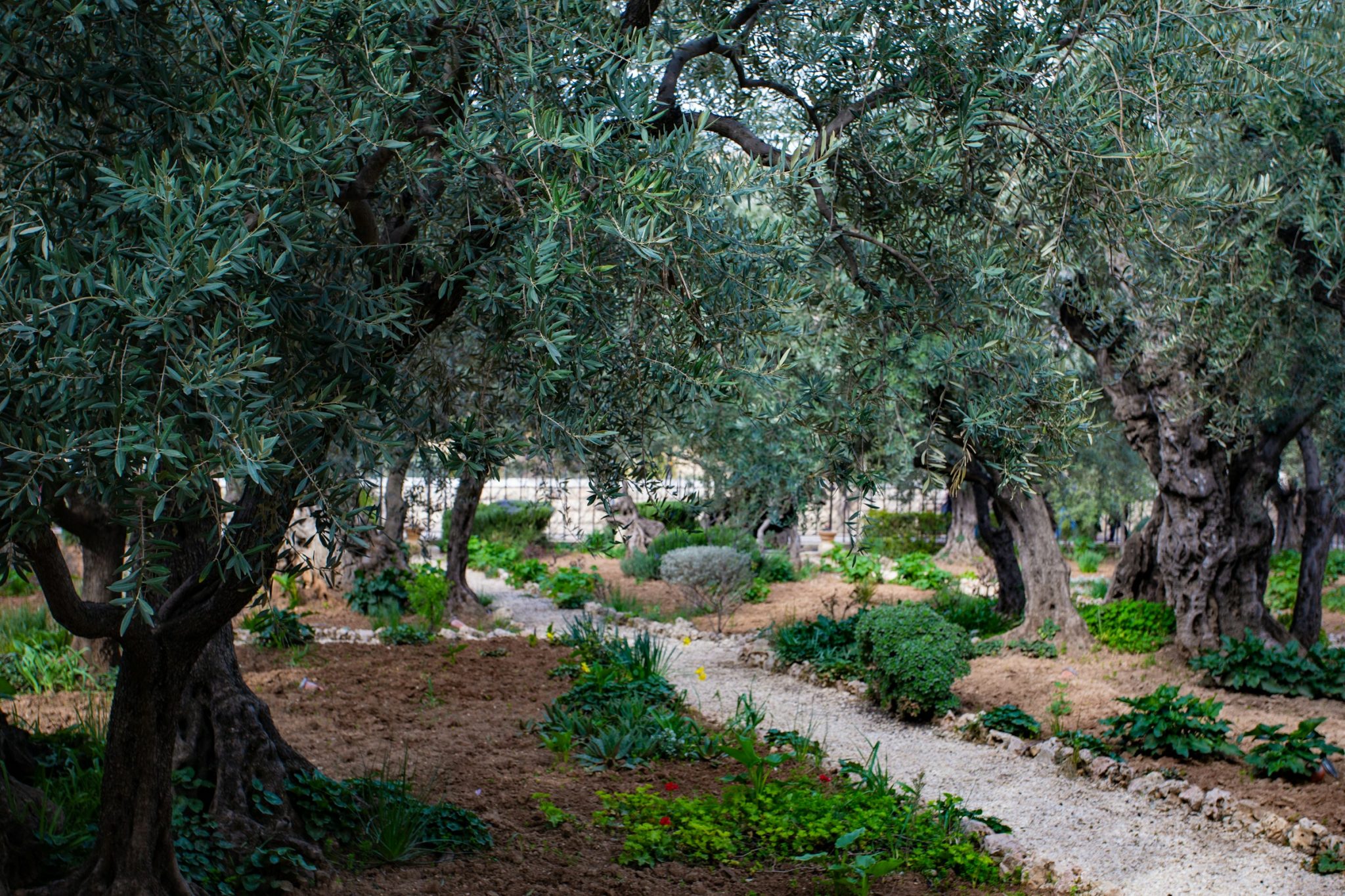 The unique four quarters of old jerusalem