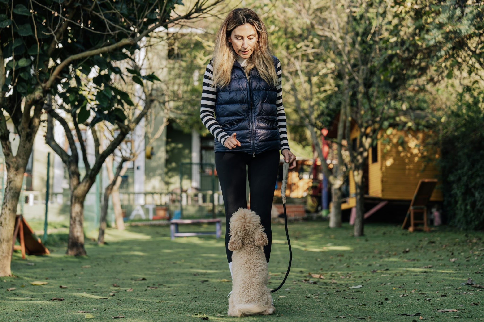 5 professional puppy training services near granville oh