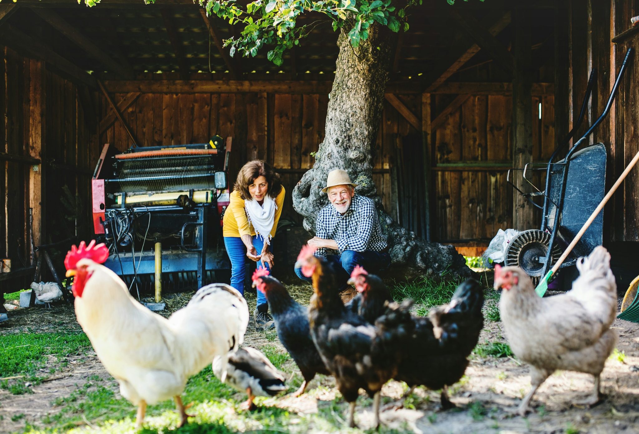 How to improve and manage your health as you get older