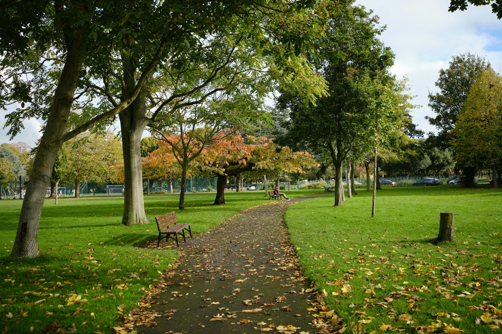 Exploring phoenix park: the largest urban park in europe