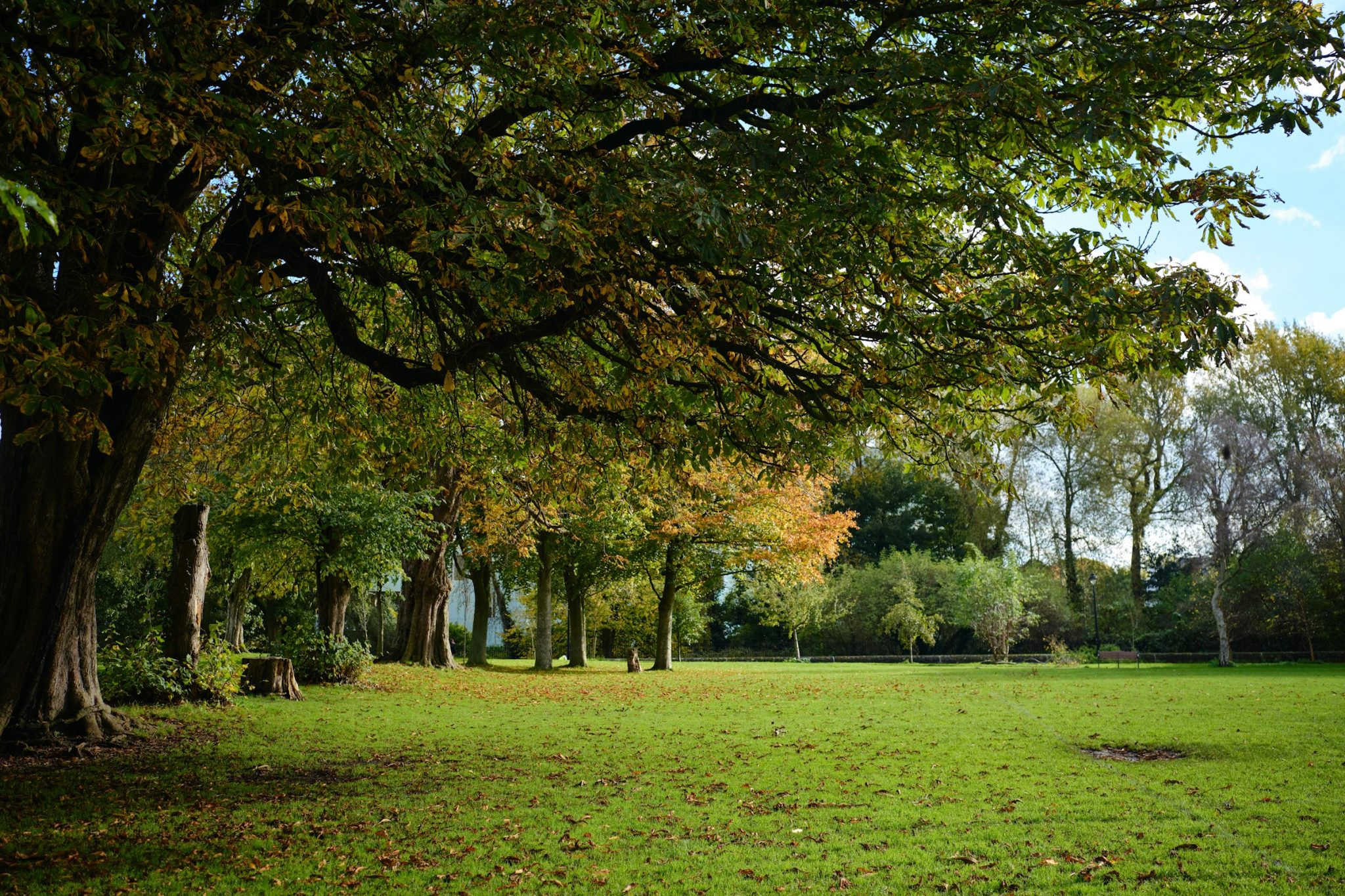 Exploring phoenix park: the largest urban park in europe