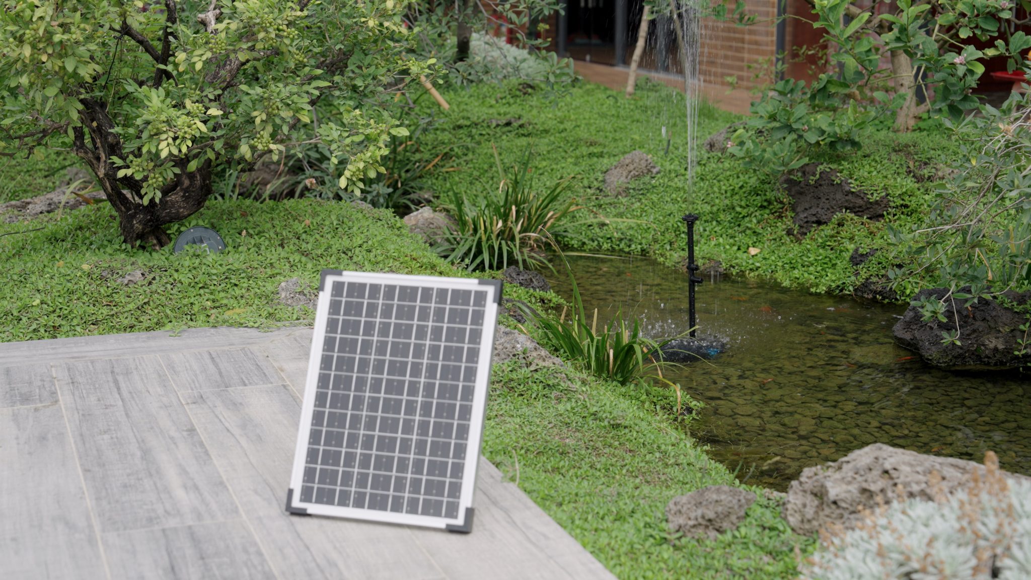 How can i keep my pond healthy with poposoap pond pump and filter?