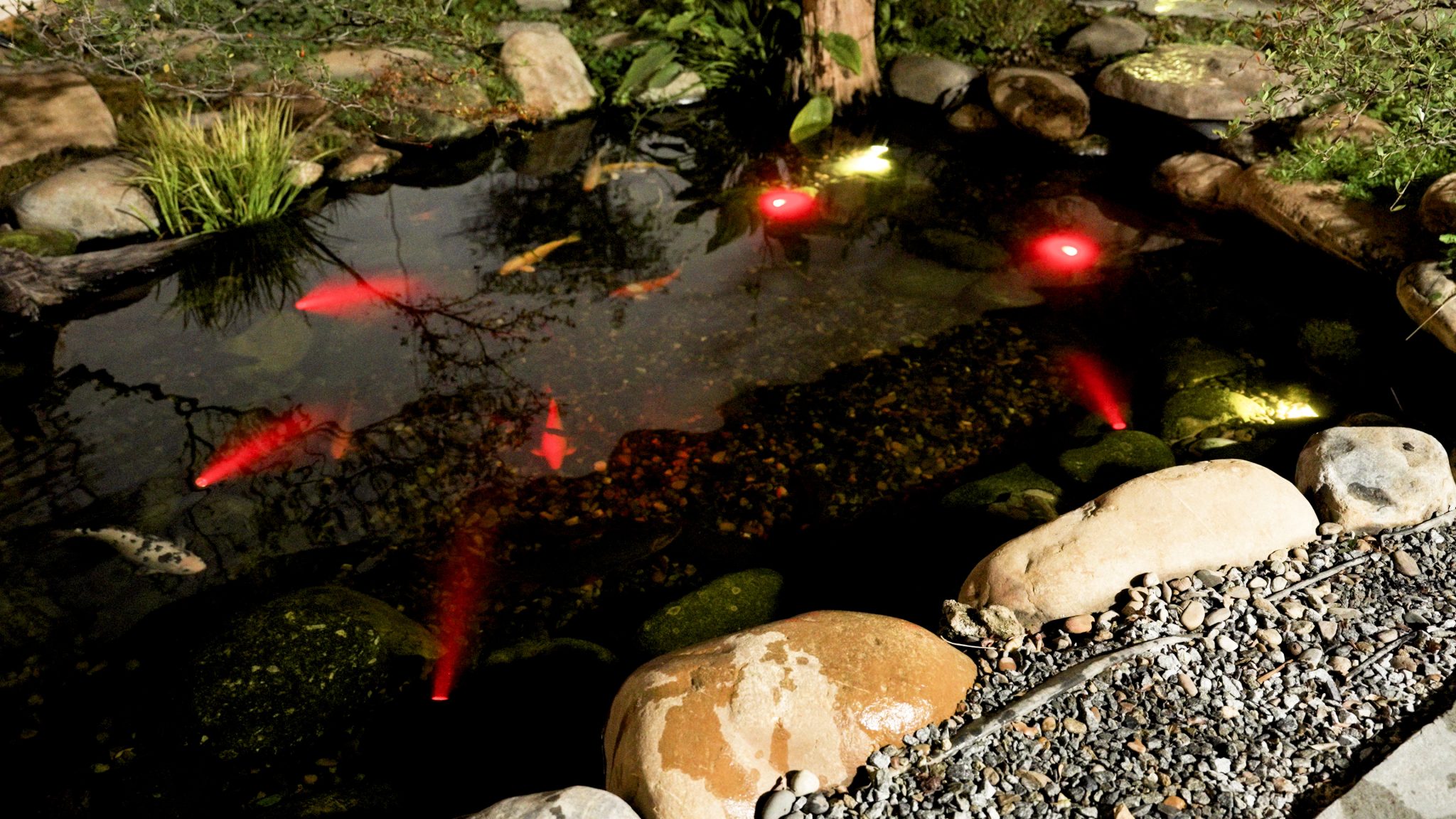How can i keep my pond healthy with poposoap pond pump and filter?