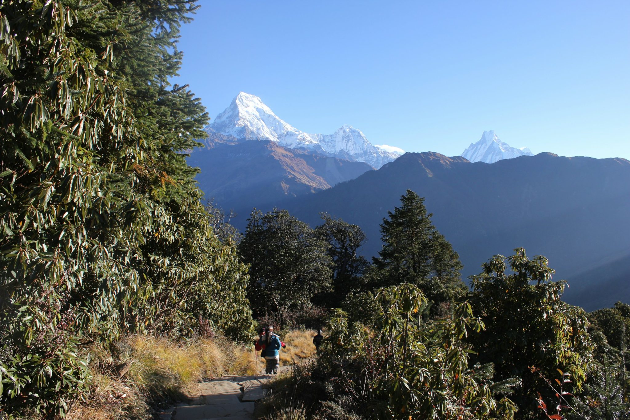 The timeless trek: why langtang is perfect for senior adventurers