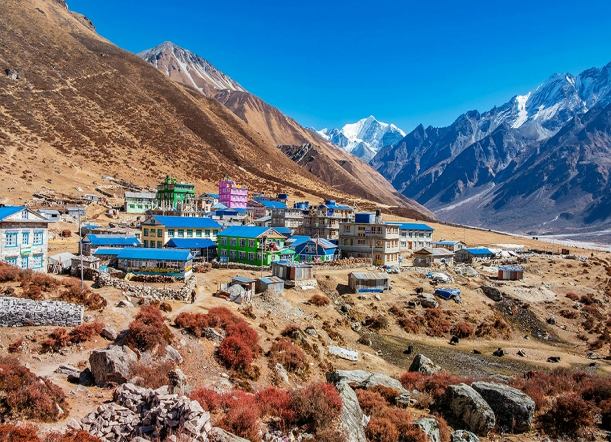 The timeless trek: why langtang is perfect for senior adventurers